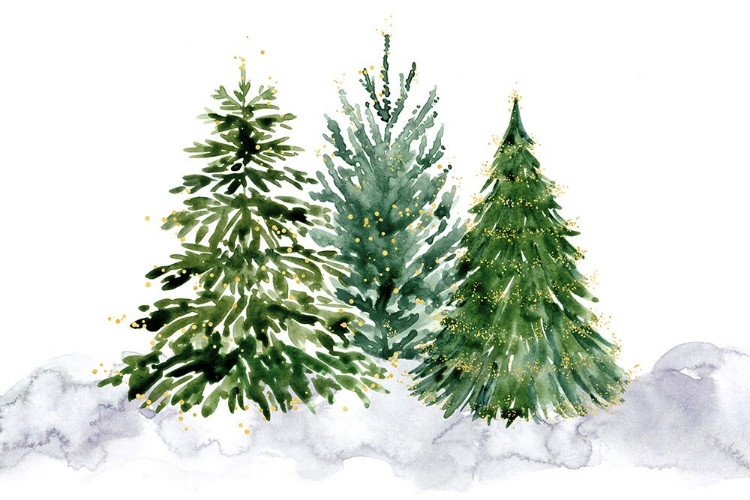 Picture of THREE WATERCOLOR CHRISTMAS TREES