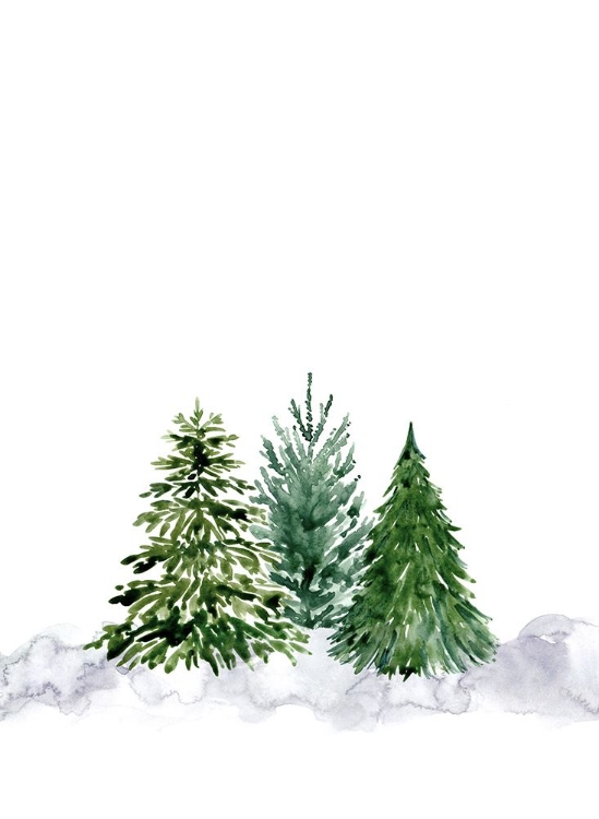 Picture of THREE WATERCOLOR PINE TREES