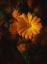 Picture of GOLDEN FLOWER