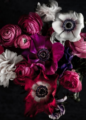 Picture of DARK FLOWERS 1