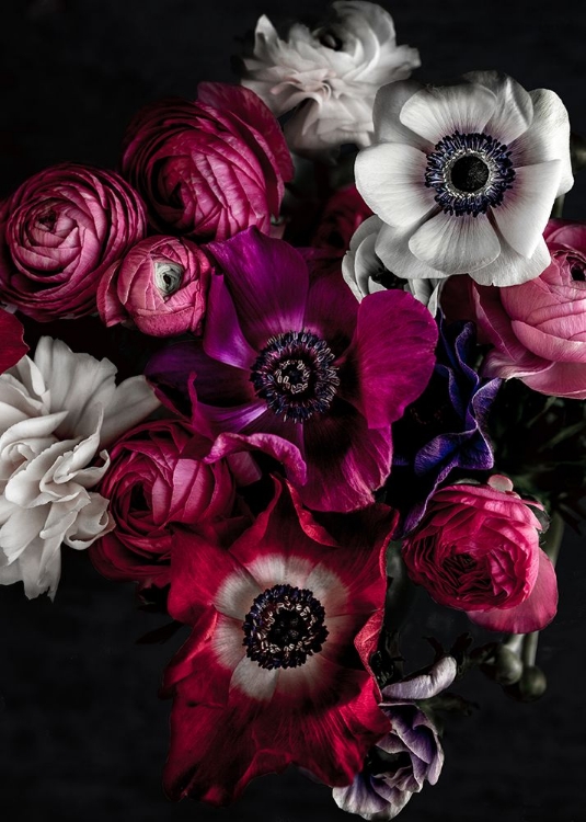 Picture of DARK FLOWERS 1