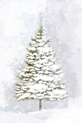 Picture of LONE FIR IN THE SNOW