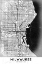 Picture of MILWAUKEE