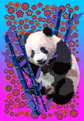 Picture of PANDA