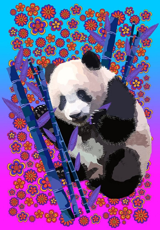 Picture of PANDA