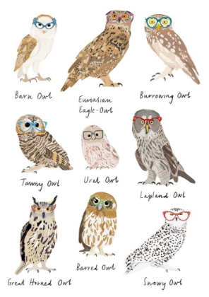 Picture of OWLS IN GLASSES PRINT