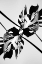 Picture of BAW LEAF MONSTERA