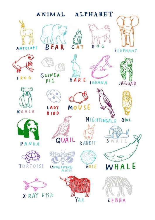 Picture of ANIMAL ALPHABET