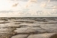Picture of AT THE SEA 7