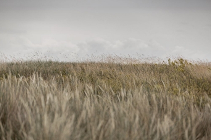 Picture of DUNES AND CLOUDS 2