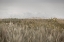 Picture of DUNES AND CLOUDS 2