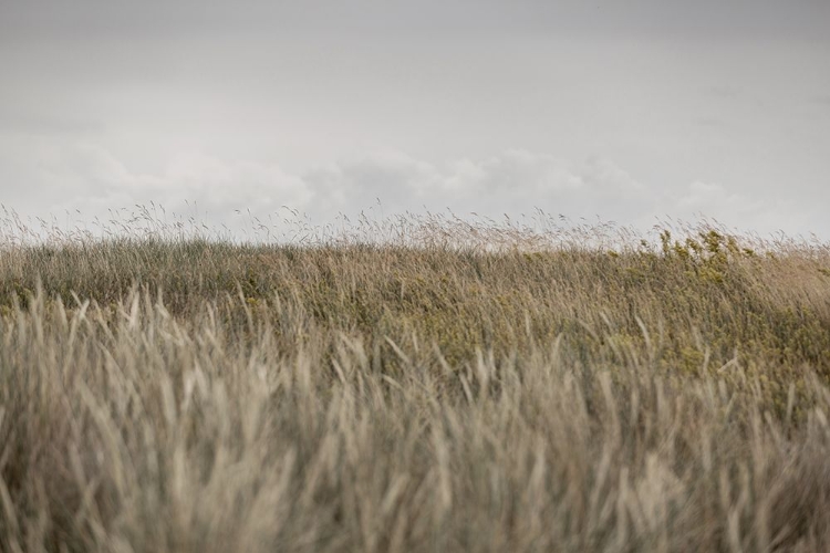 Picture of DUNES AND CLOUDS 2