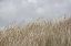 Picture of DUNES AND CLOUDS