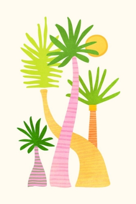 Picture of PALM FAMILY