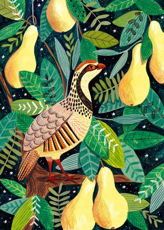 Picture of PARTRIDGE IN A PEAR TREE