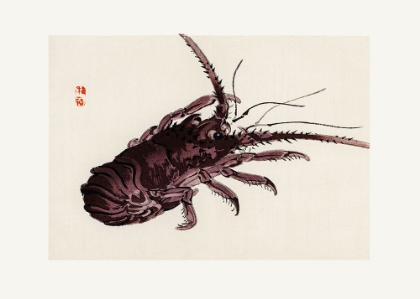 Picture of CRAYFISH