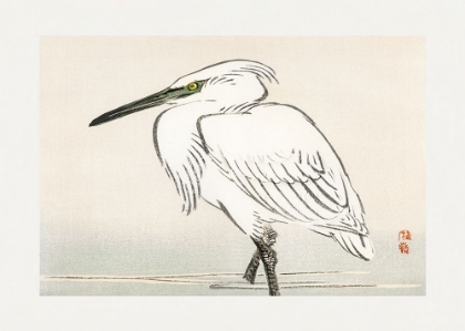 Picture of SNOWY EGRET