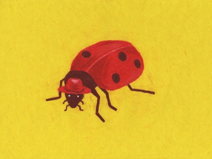 Picture of LADYBIRD