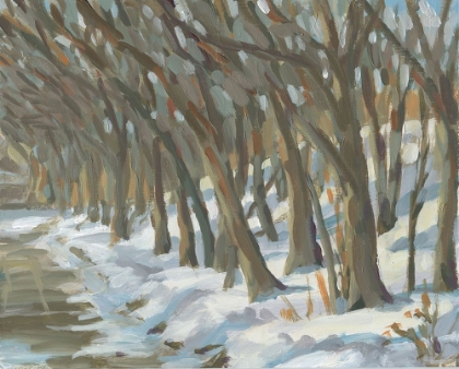 Picture of WINTER TREES