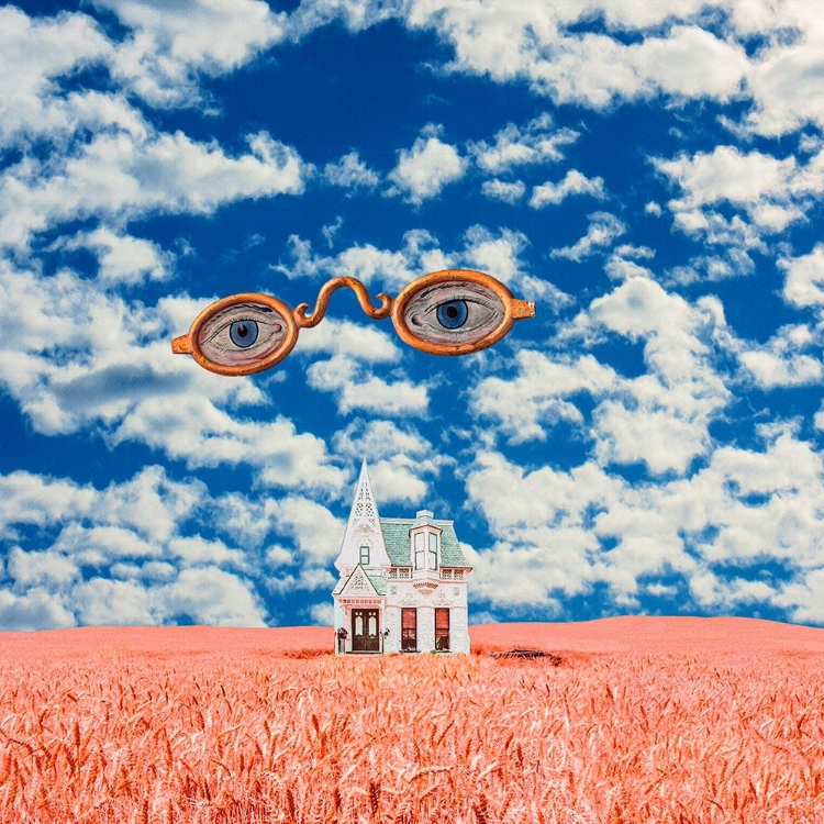 Picture of FLOATING GLASSES