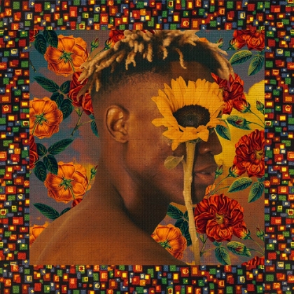 Picture of FLOWER BOY