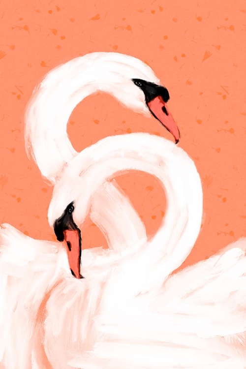 Picture of SWANS