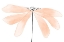 Picture of PEACH FLOWER