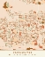 Picture of BLACK MAPS EARTH TONES 90