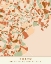 Picture of BLACK MAPS EARTH TONES 88