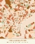 Picture of BLACK MAPS EARTH TONES 65