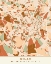 Picture of BLACK MAPS EARTH TONES 54