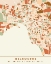 Picture of BLACK MAPS EARTH TONES 50