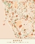Picture of BLACK MAPS EARTH TONES 46