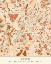 Picture of BLACK MAPS EARTH TONES 43