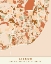 Picture of BLACK MAPS EARTH TONES 39