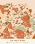 Picture of BLACK MAPS EARTH TONES 29