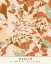 Picture of BLACK MAPS EARTH TONES 13