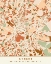 Picture of BLACK MAPS EARTH TONES 05