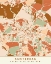 Picture of BLACK MAPS EARTH TONES 03