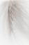 Picture of WHITE FEATHER I