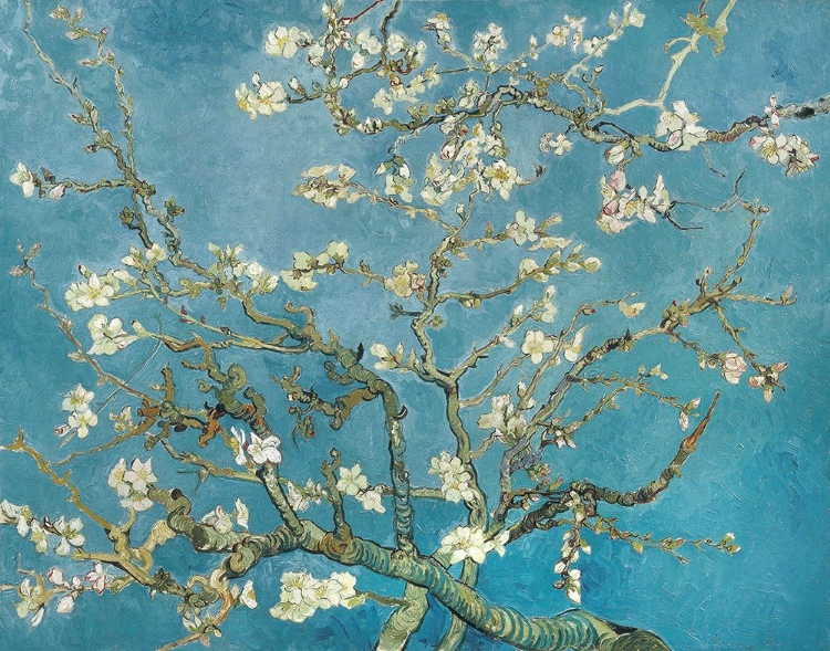Picture of VINCENT VAN GOGHS ALMOND BLOSSOM (1890)