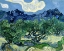 Picture of VINCENT VAN GOGHS OLIVE TREES WITH THE ALPILLES IN THE BACKGROUND (1889)