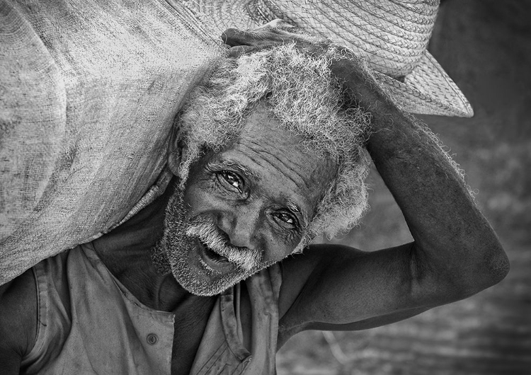 Picture of CAMPESINO