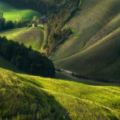 Picture of CRETE SENSES/TUSCANY