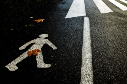 Picture of AUTUMN ON THE ROAD