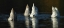 Picture of ICEBERGS ?
