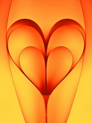 Picture of THE BOUNDED HEARTS