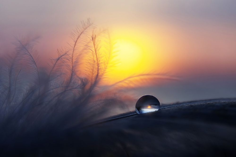 Picture of MORNING