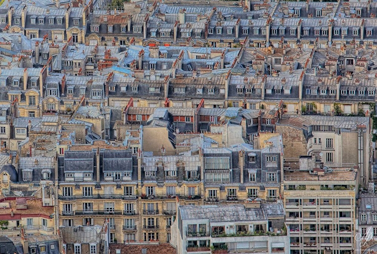 Picture of PARISIAN ROOFS
