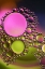 Picture of PINK INFLUENCE